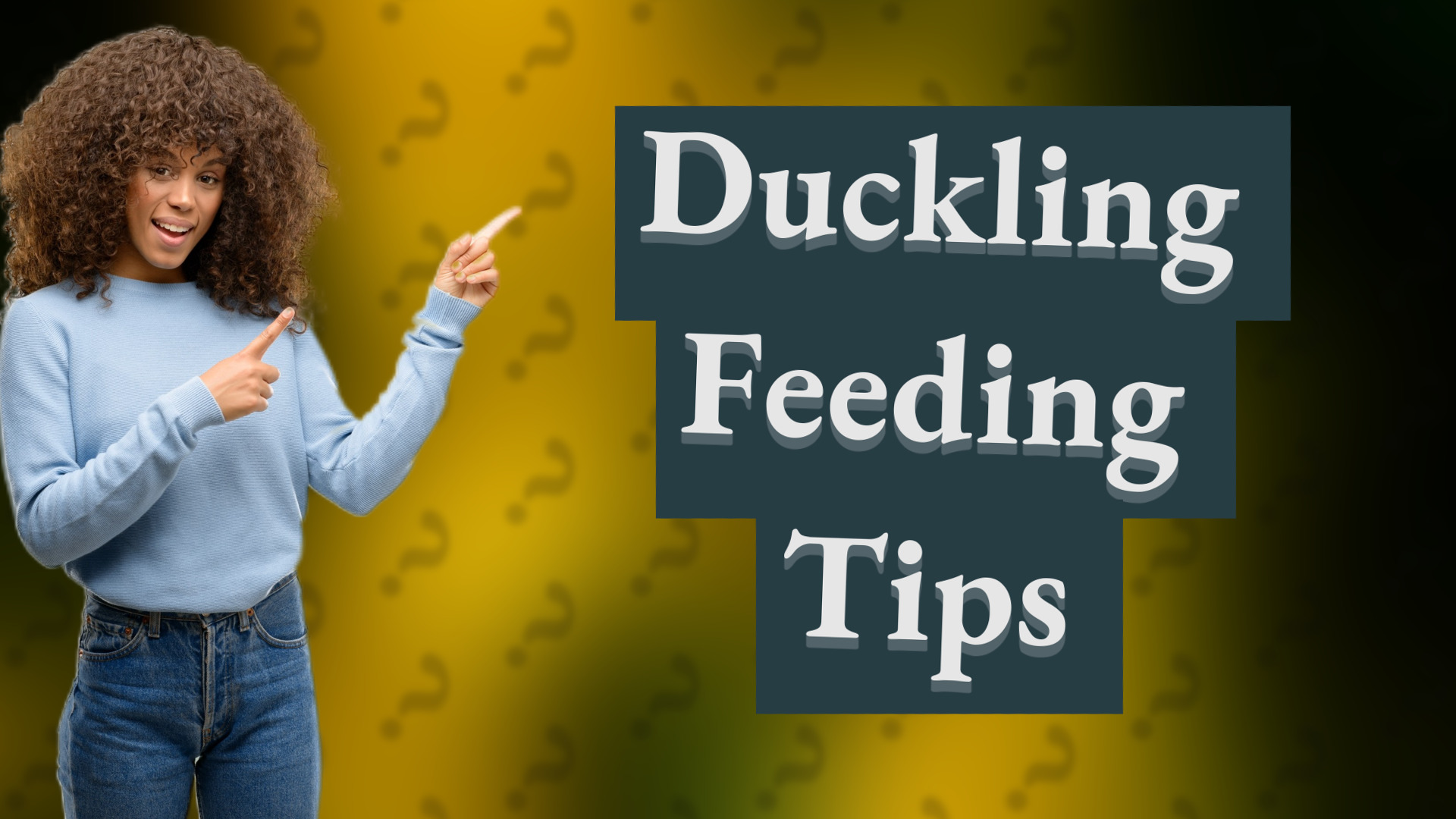 Duckling Feeding Tips
