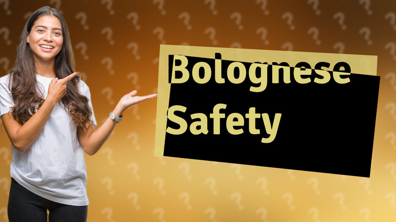 Bolognese Safety