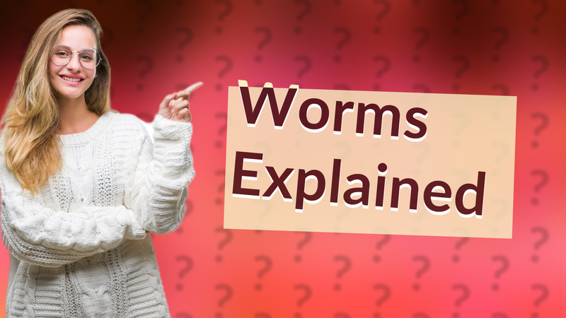 Worms Explained
