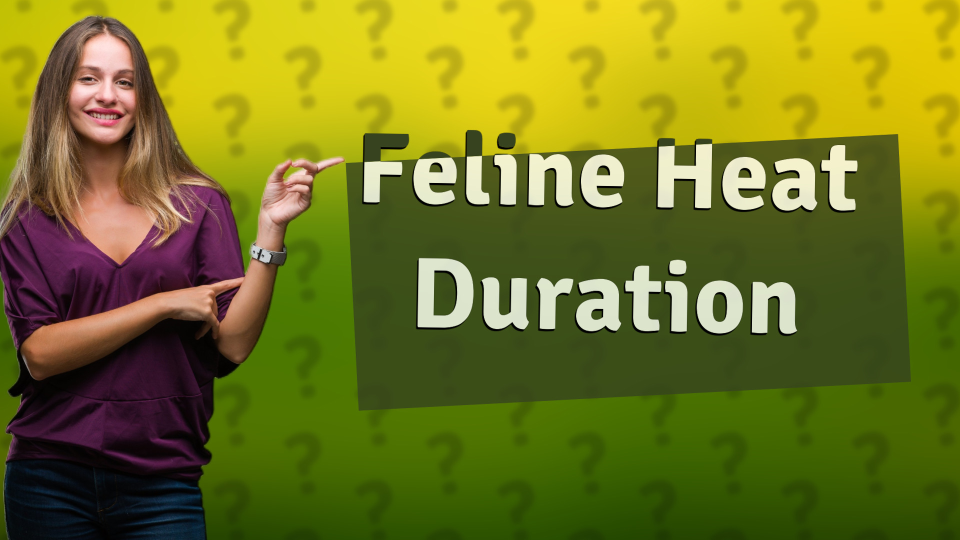 Feline Heat Duration