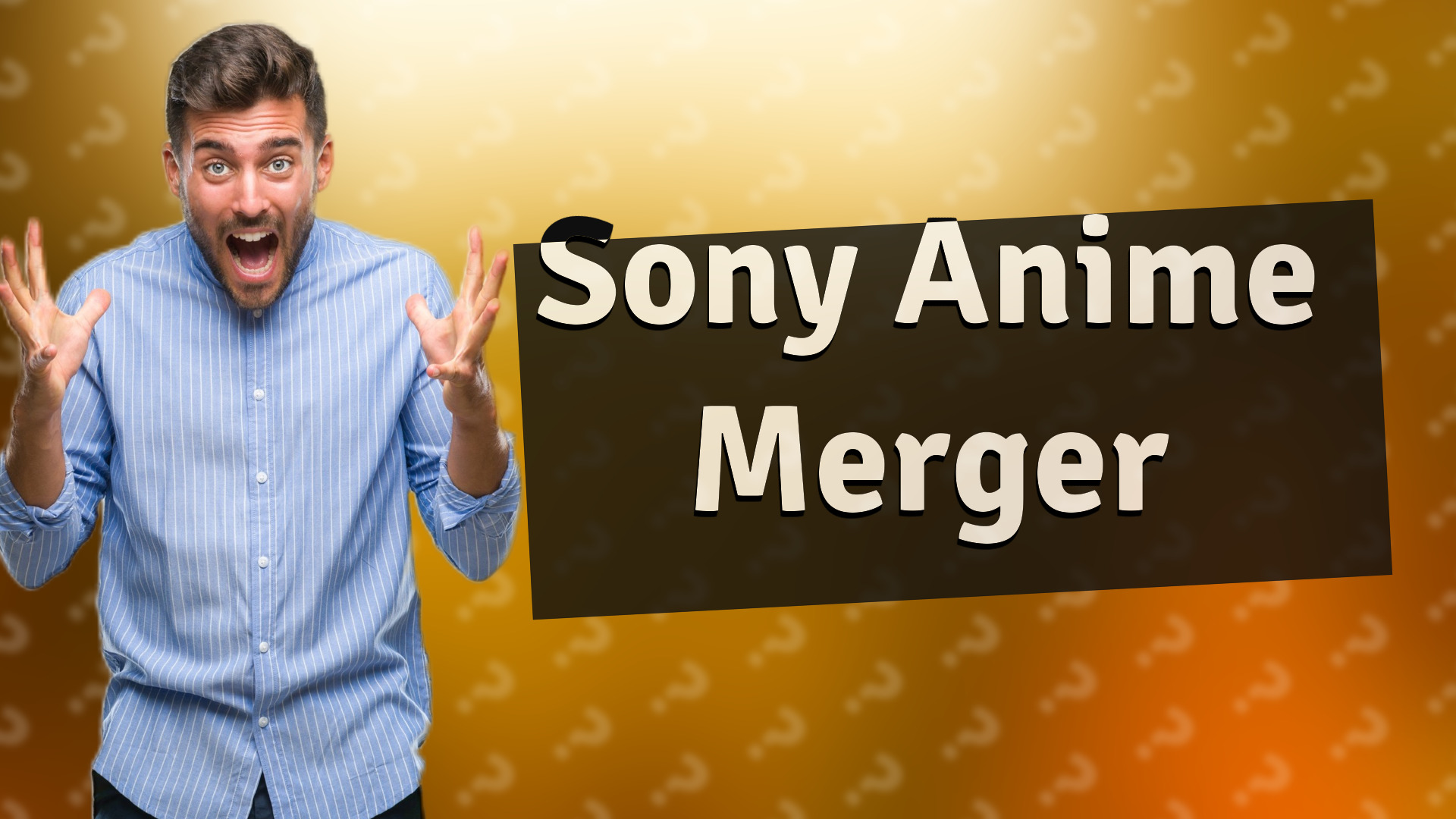 Sony Anime Merger