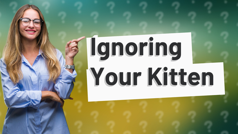 Ignoring Your Kitten