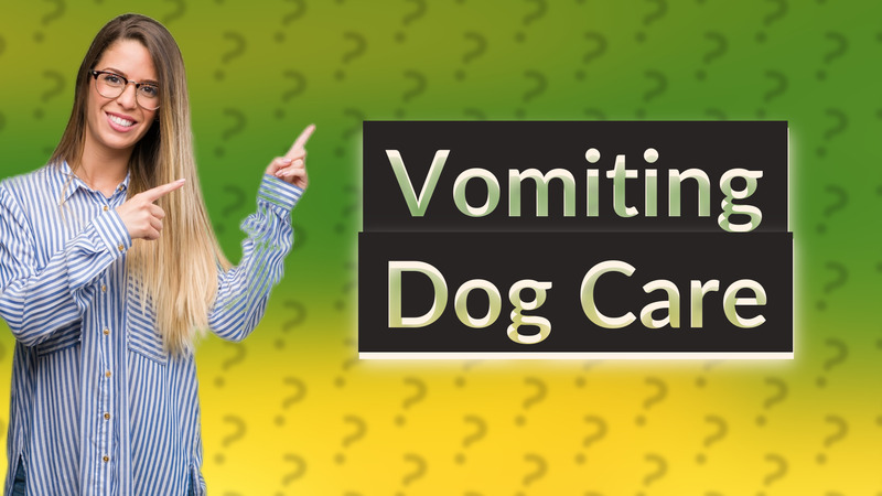 Vomiting Dog Care