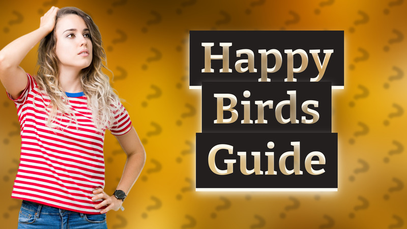 Happy Birds Guide