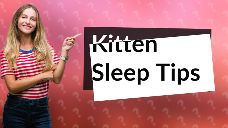 Kitten Sleep Tips