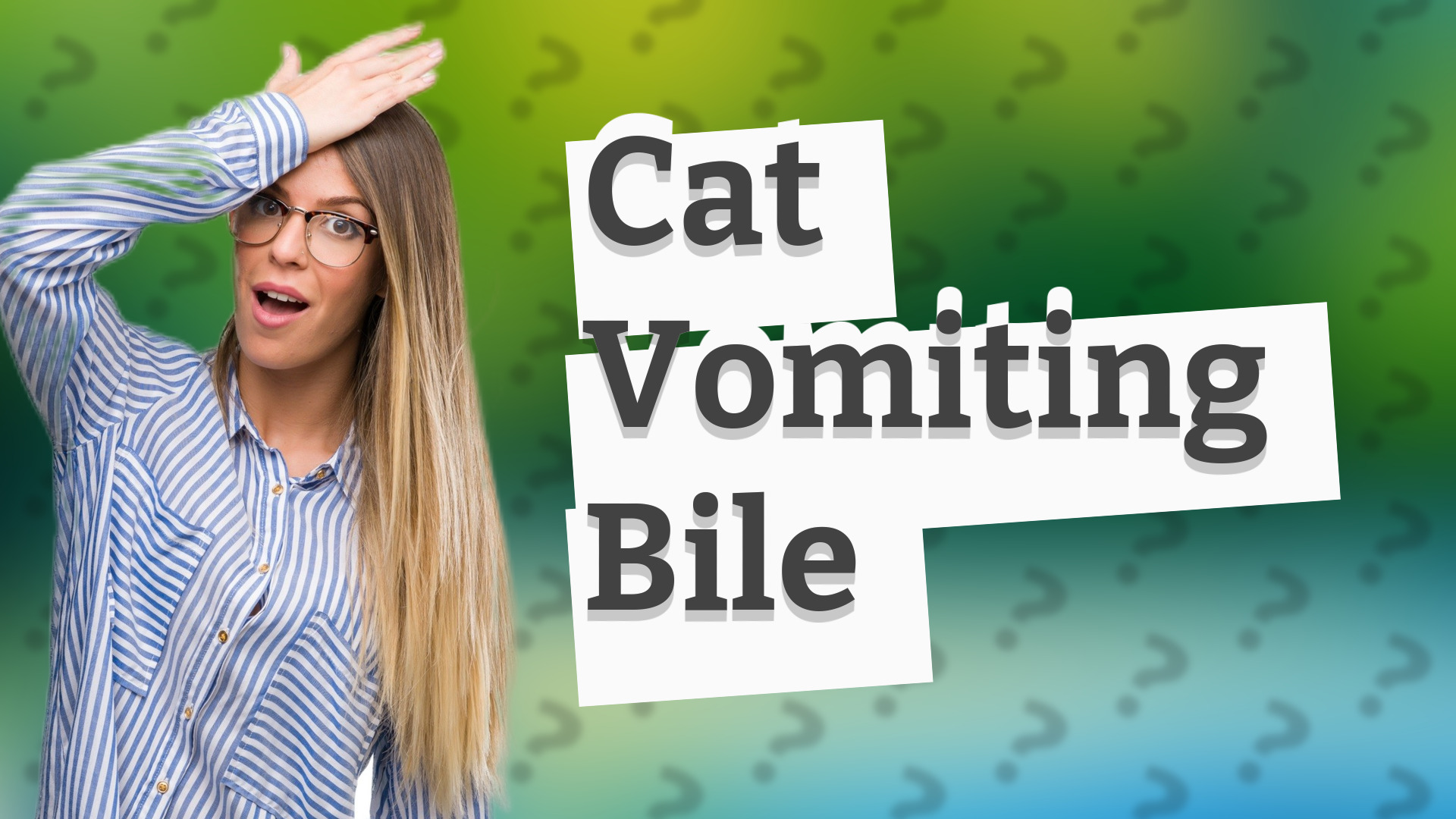 Cat Vomiting Bile