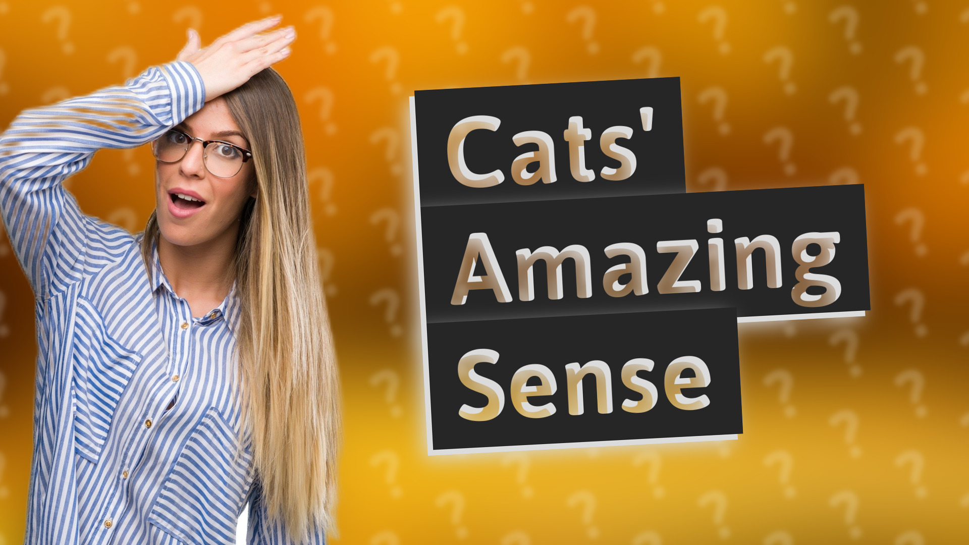 Cats' Amazing Sense