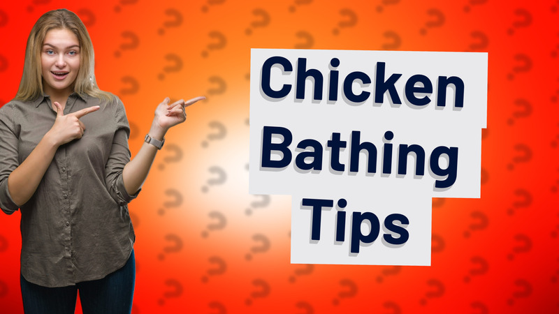 Chicken Bathing Tips