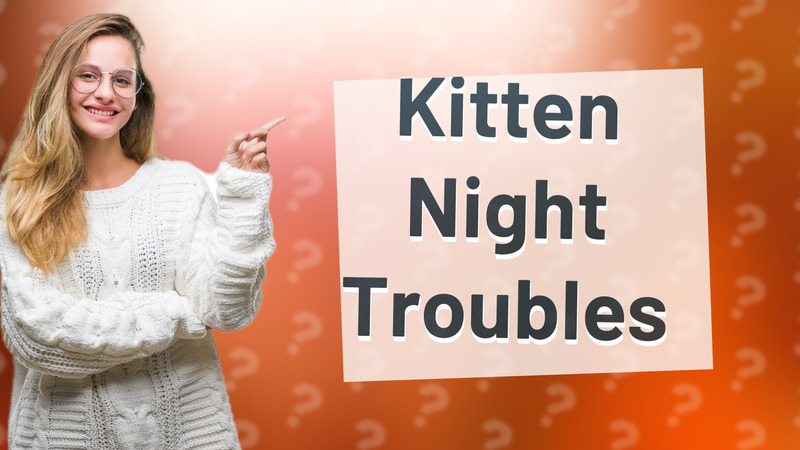Kitten Night Troubles