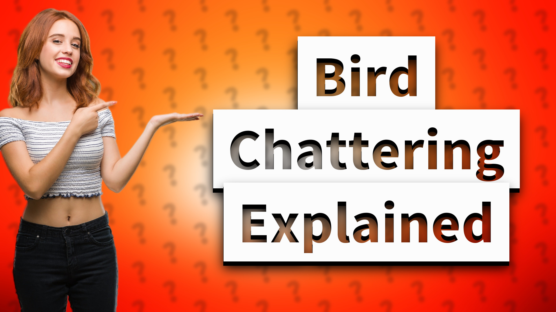 Bird Chattering Explained