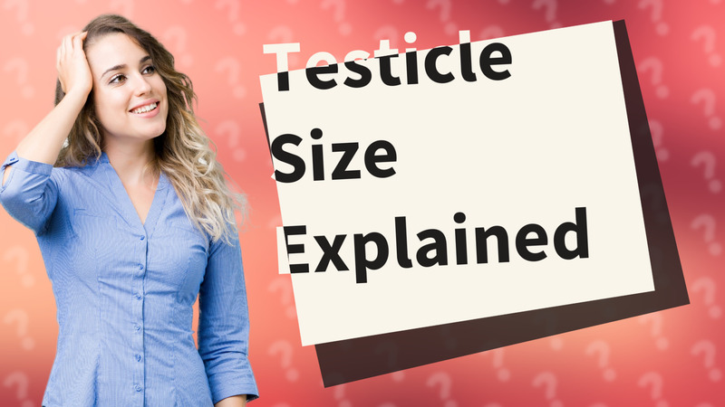 Testicle Size Explained