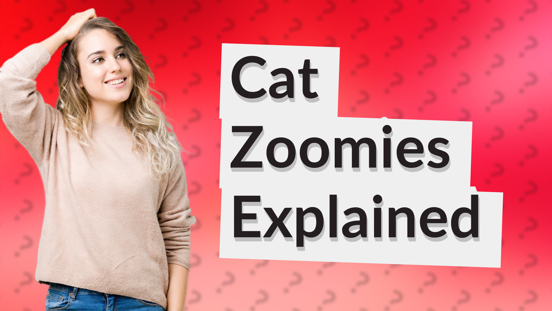 Cat Zoomies Explained