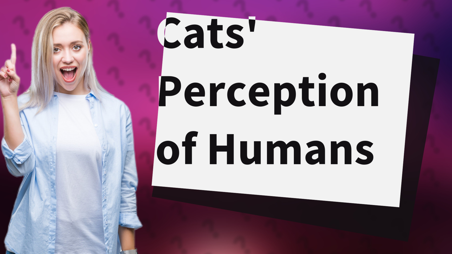 Cats' Perception of Humans
