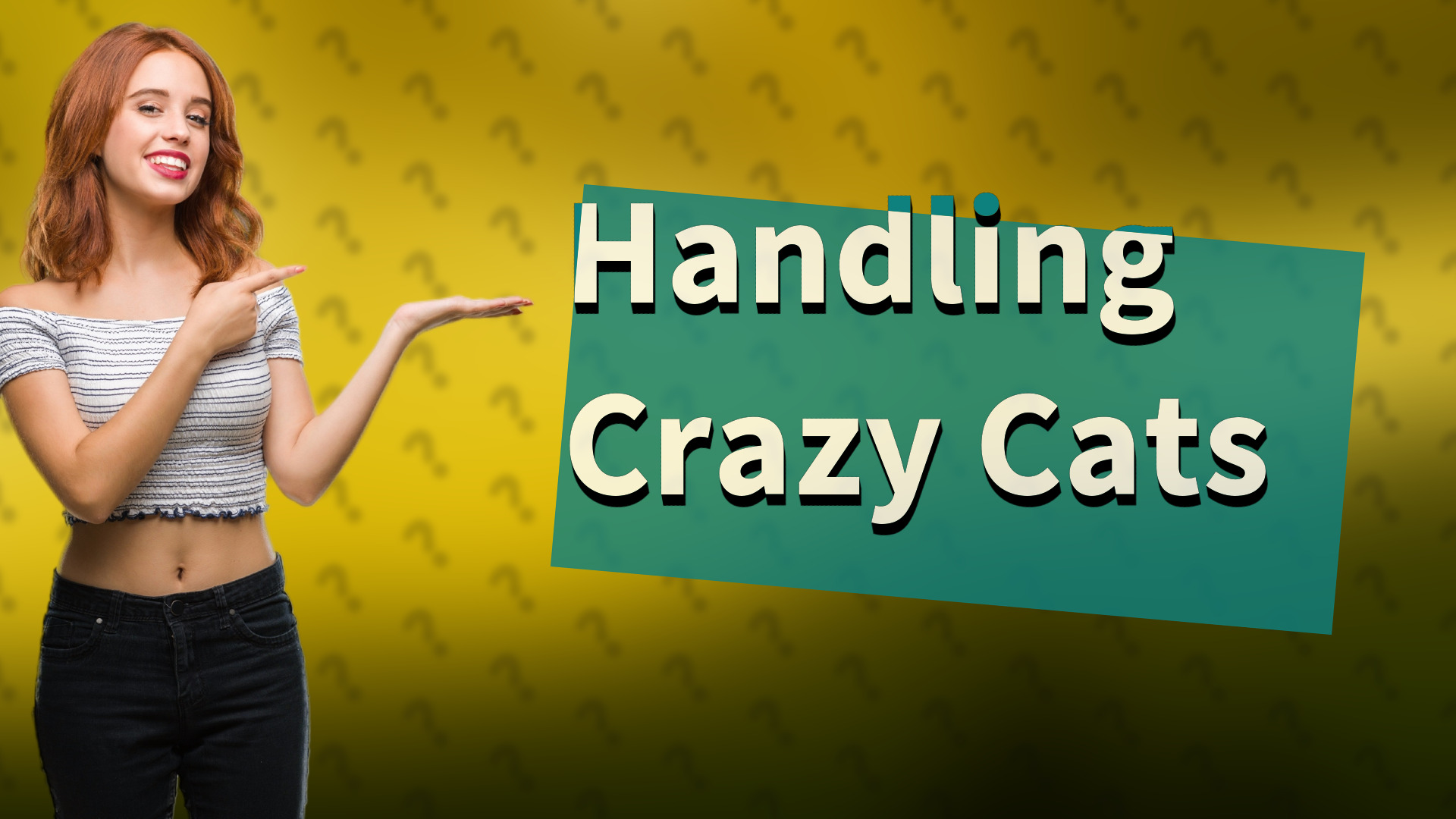 Handling Crazy Cats