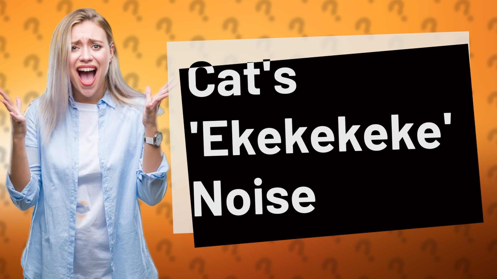 Cat's 'Ekekekeke' Noise