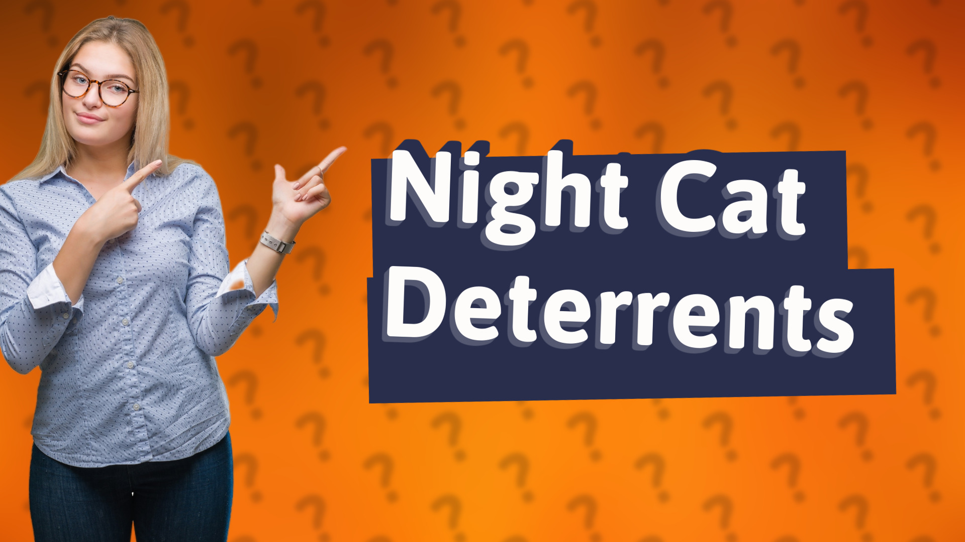 Night Cat Deterrents