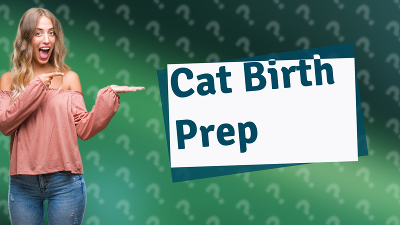 Cat Birth Prep