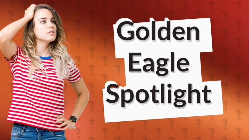 Golden Eagle Spotlight