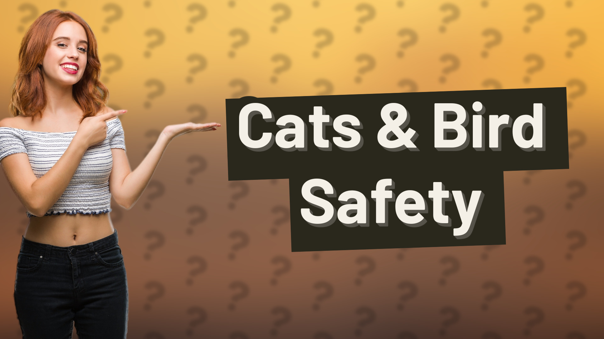 Cats & Bird Safety
