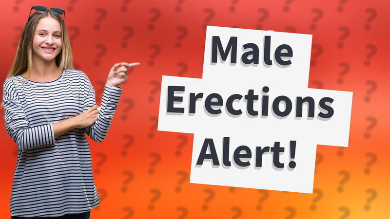 Male Erections Alert!