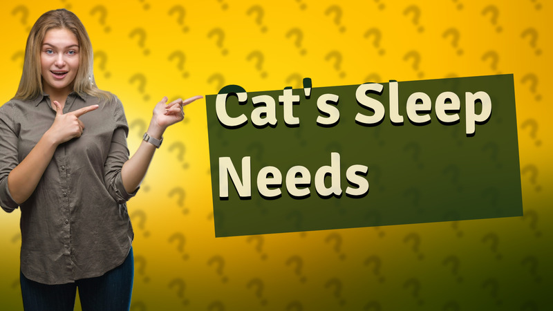 Cat's Sleep Needs