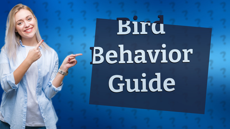 Bird Behavior Guide