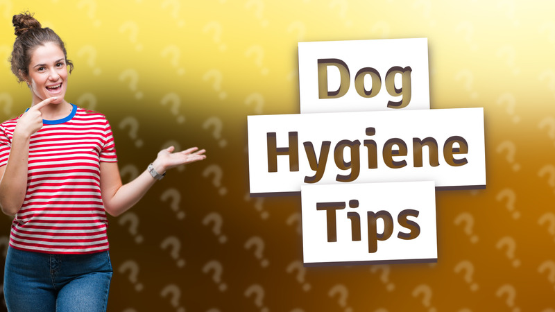Dog Hygiene Tips
