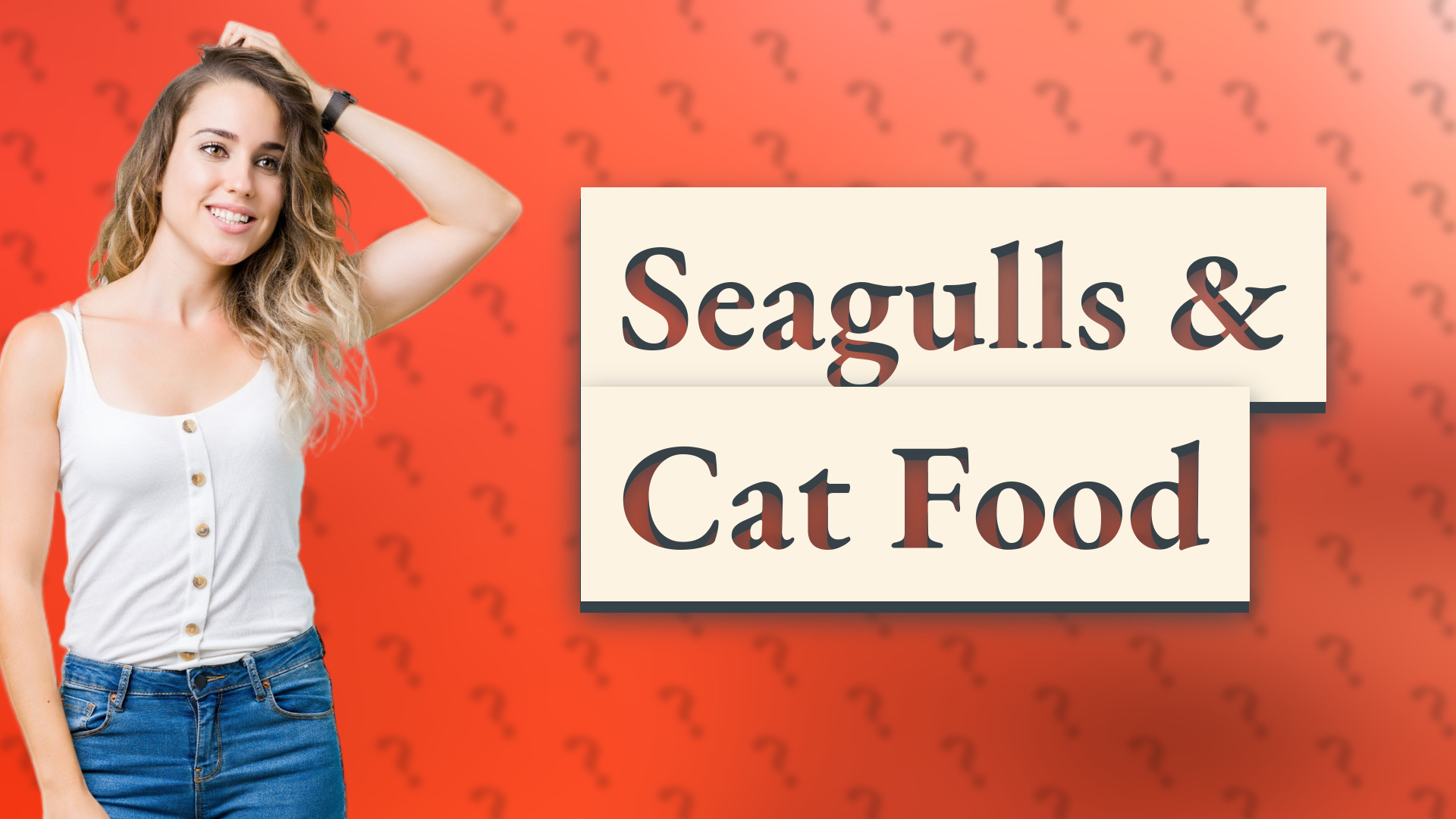 Seagulls & Cat Food