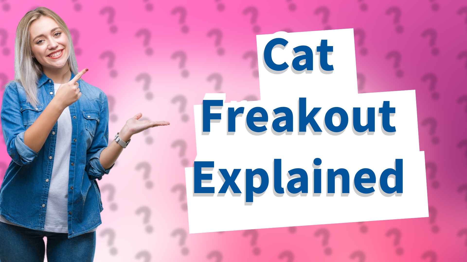 Cat Freakout Explained