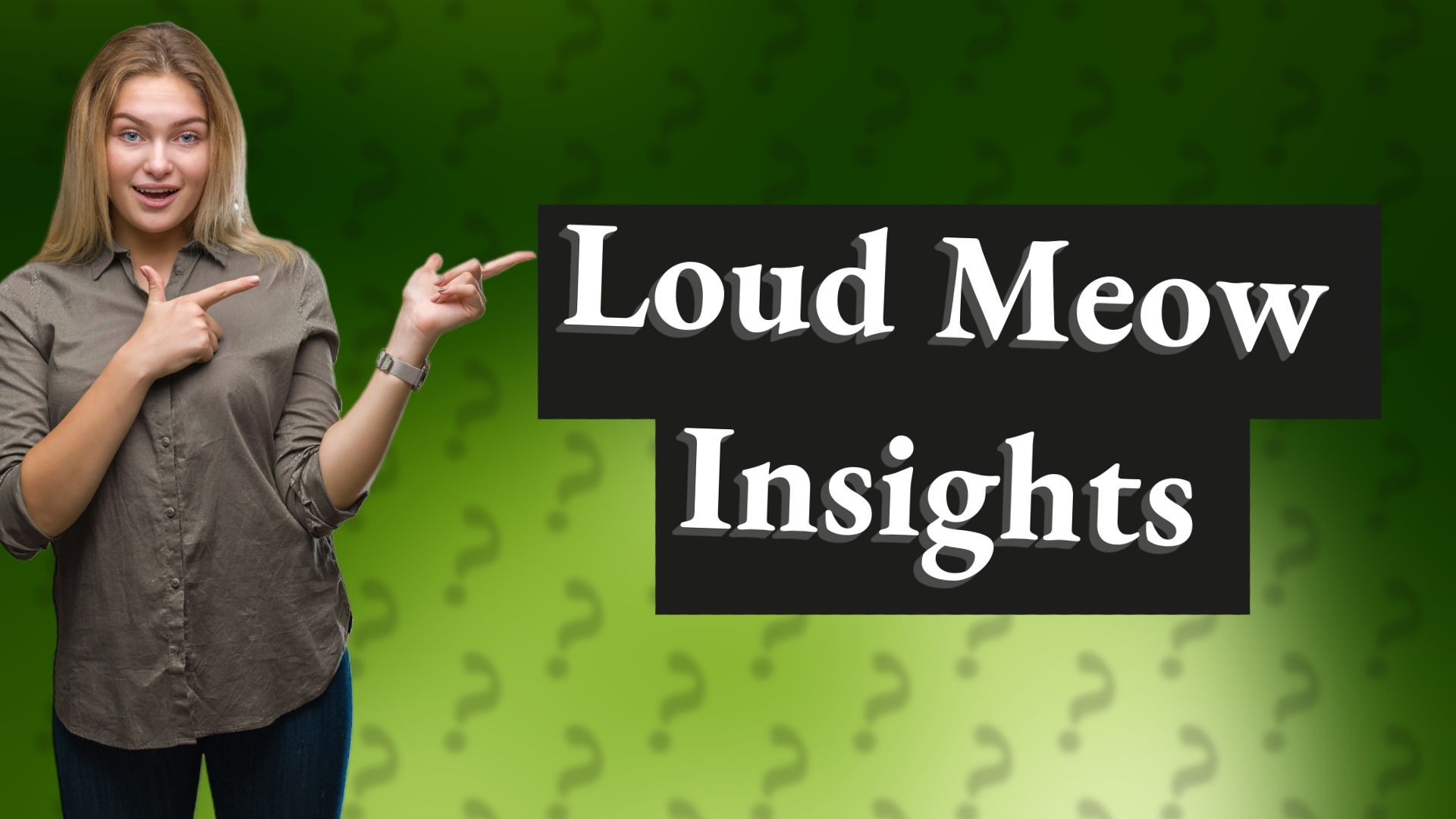 Loud Meow Insights