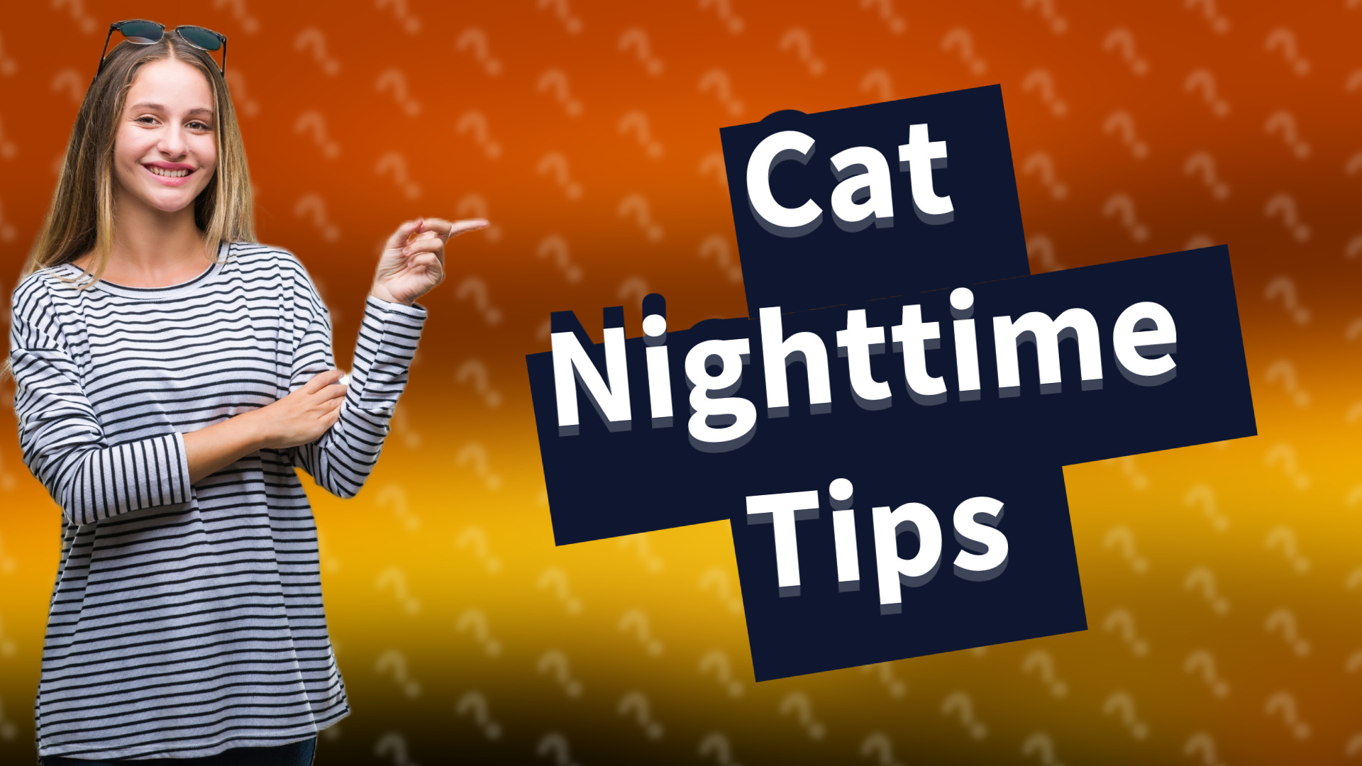 Cat Nighttime Tips