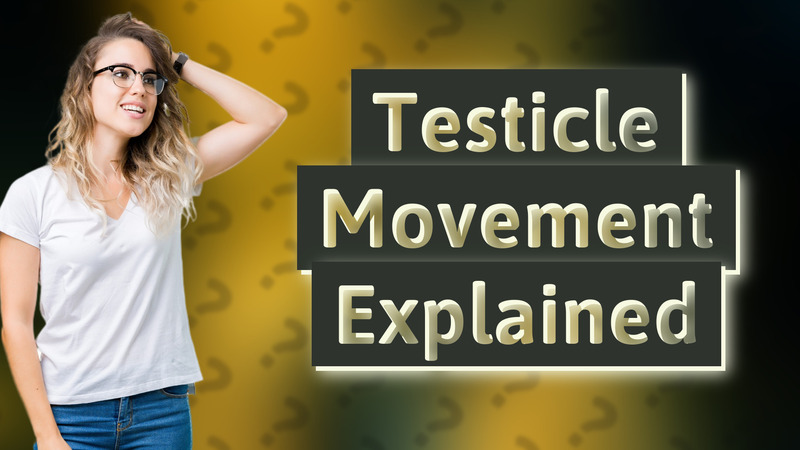 Testicle Movement Explained