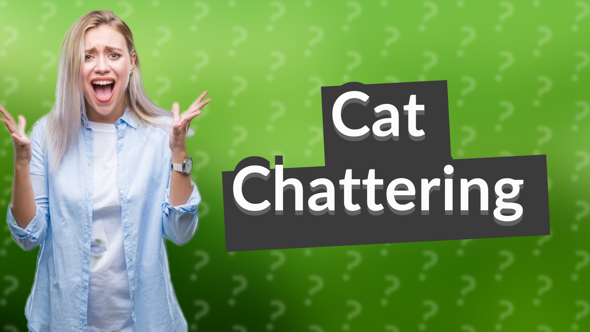Cat Chattering