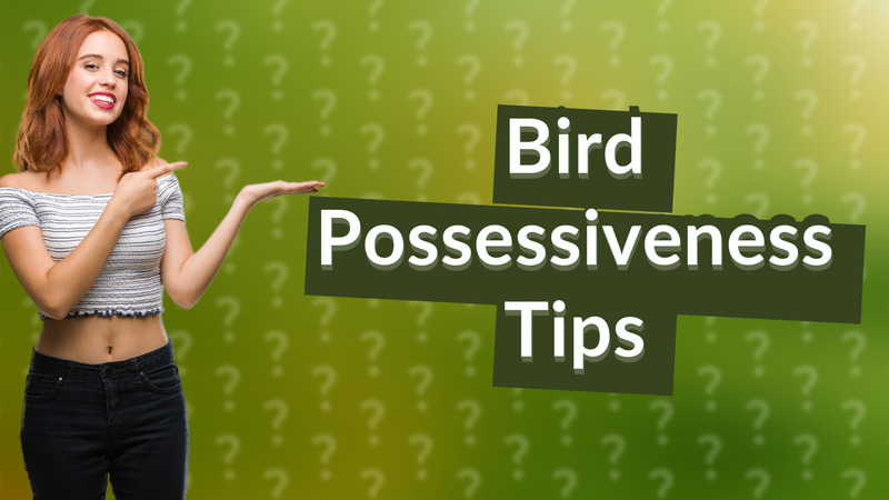Bird Possessiveness Tips