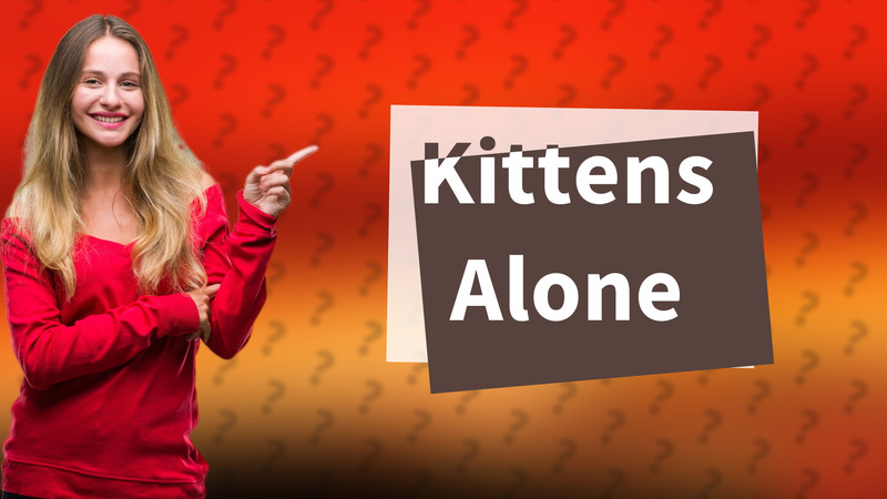 Kittens Alone