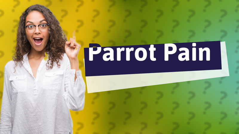 Parrot Pain