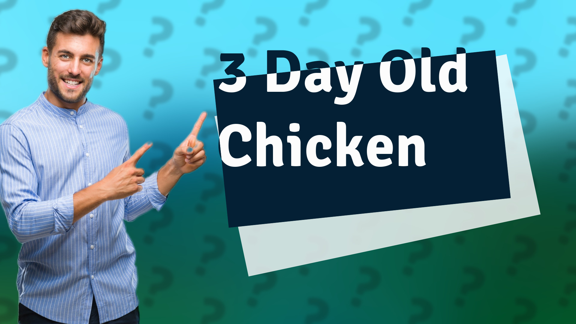 3 Day Old Chicken