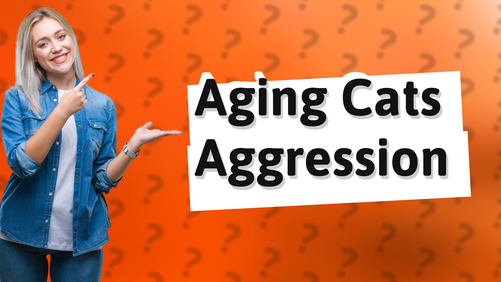 Aging Cats Aggression