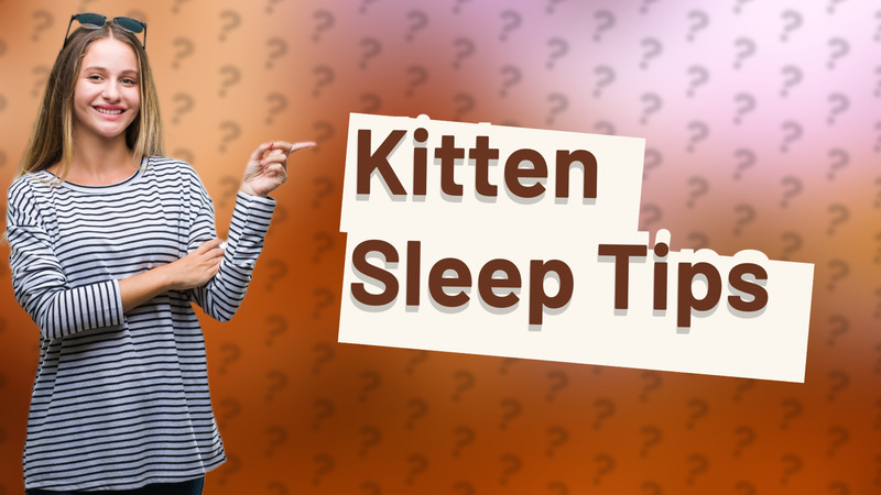 Kitten Sleep Tips