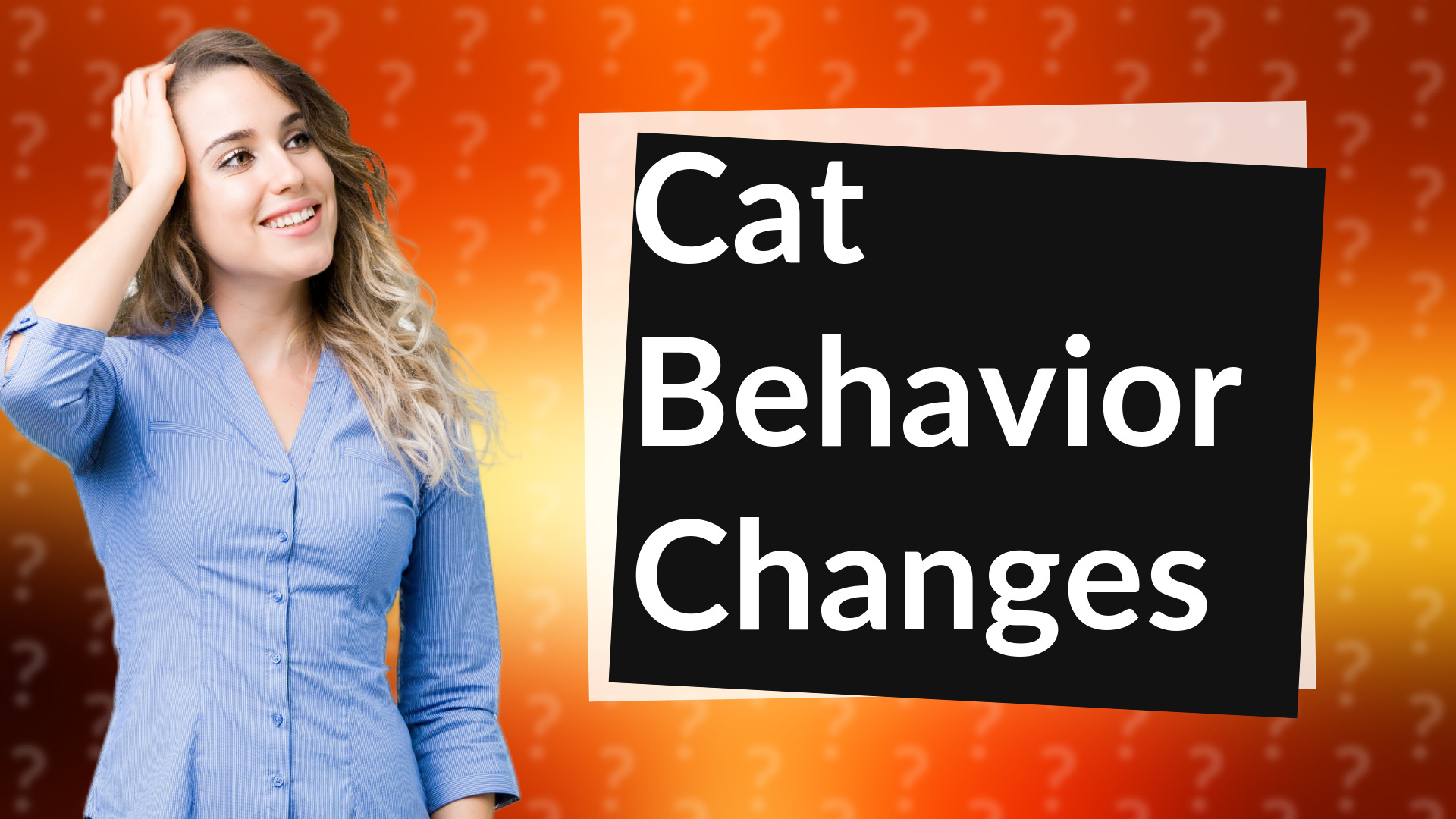 Cat Behavior Changes