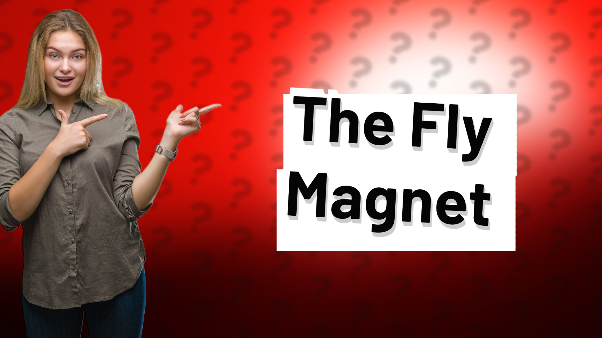 The Fly Magnet