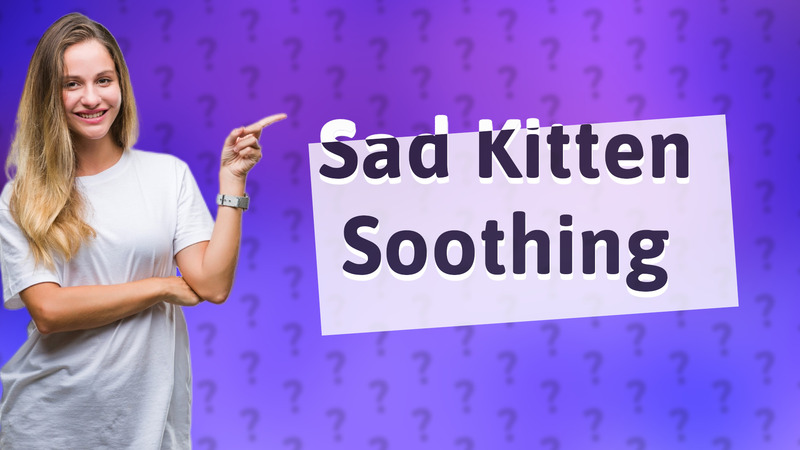 Sad Kitten Soothing