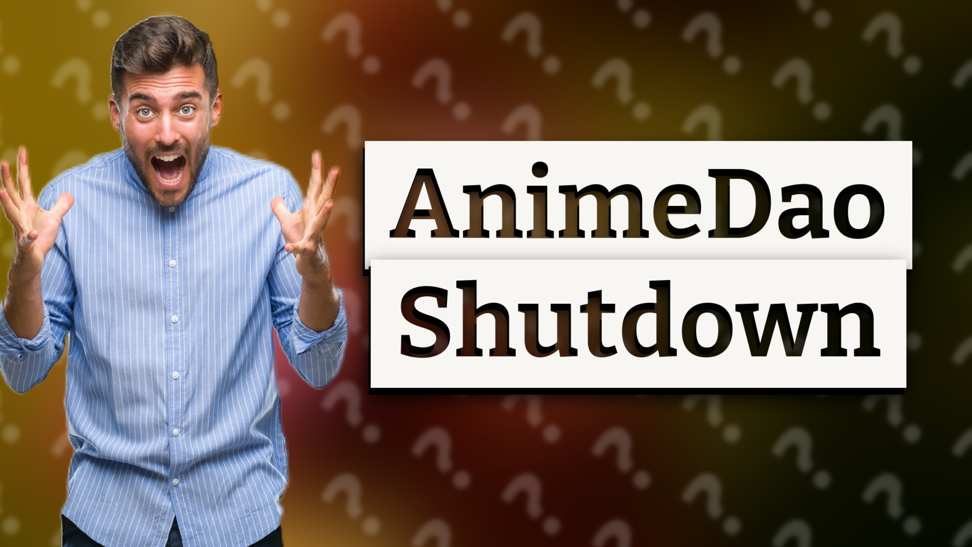 AnimeDao Shutdown