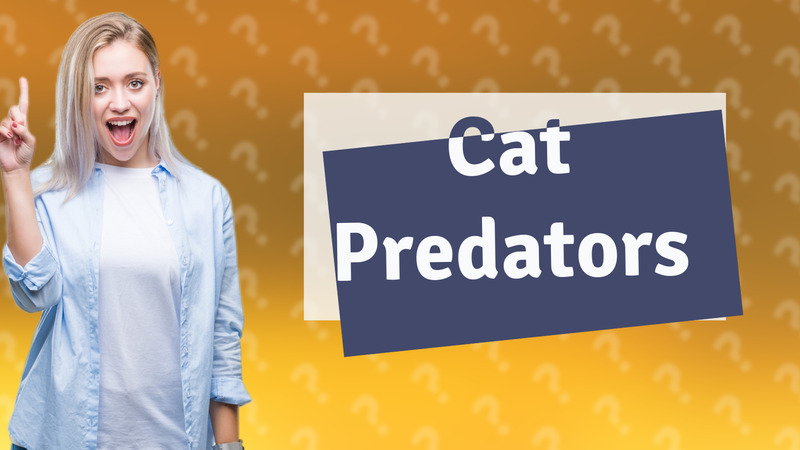 Cat Predators