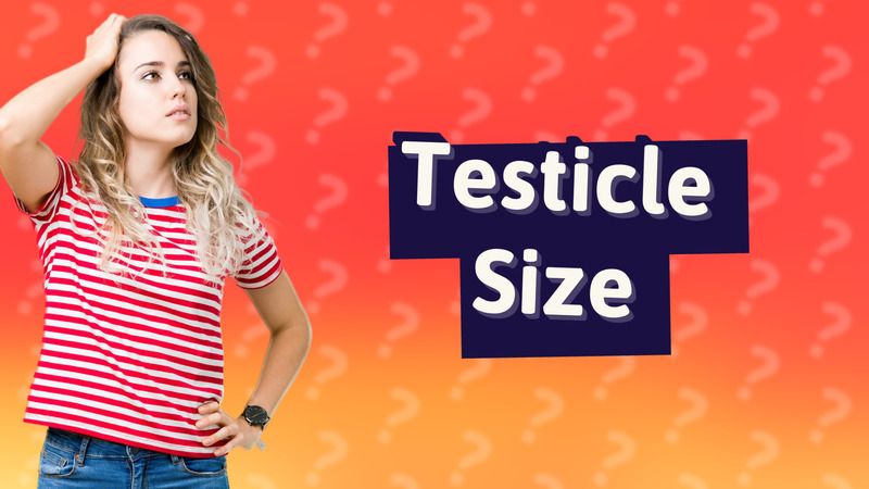 Testicle Size