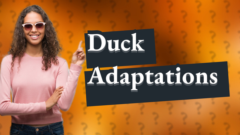 Duck Adaptations