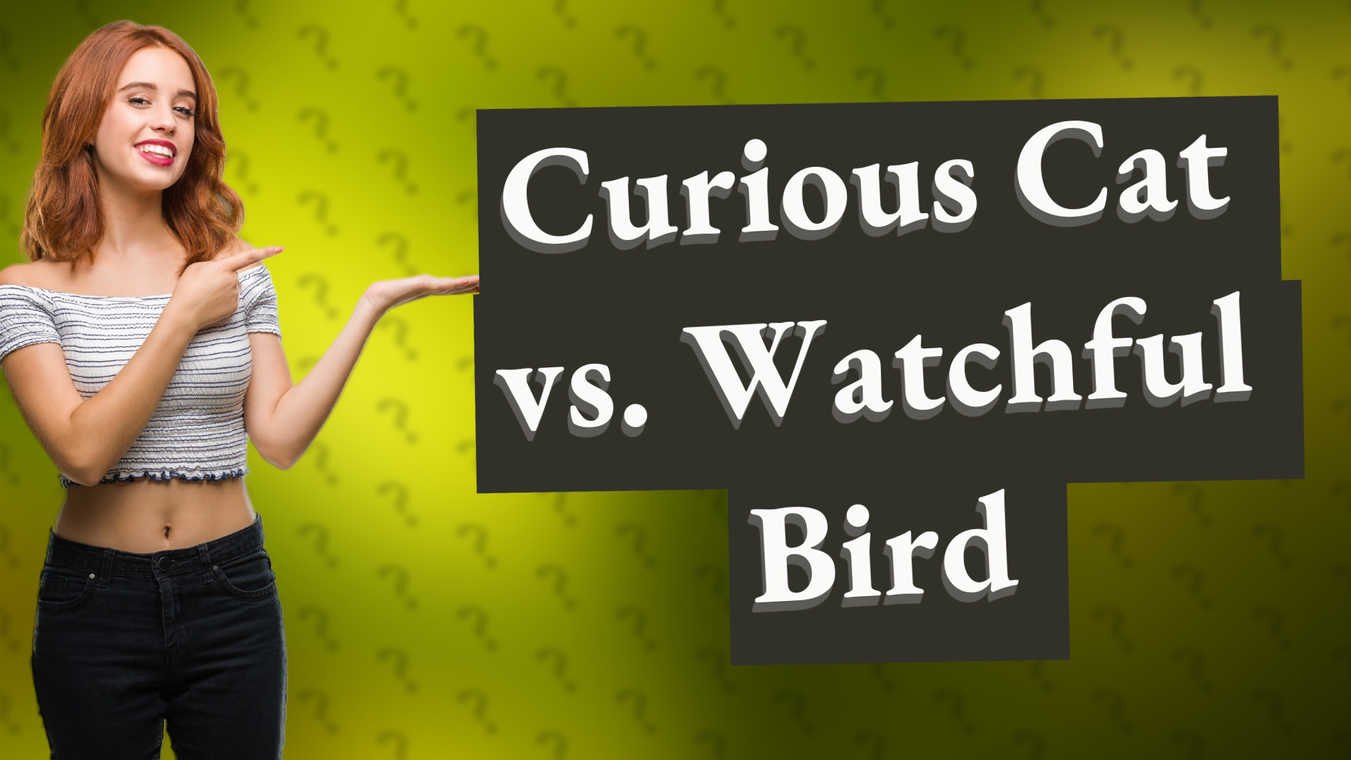 Curious Cat vs. Watchful Bird