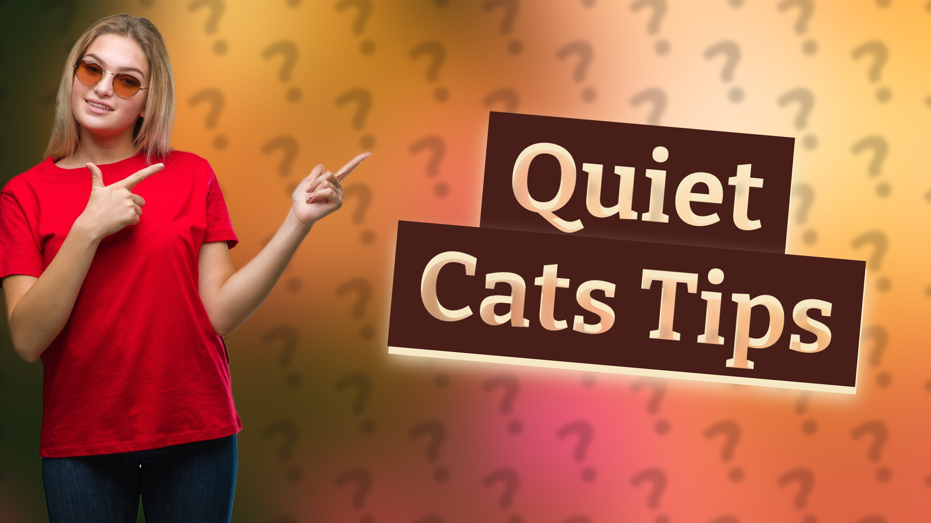 Quiet Cats Tips