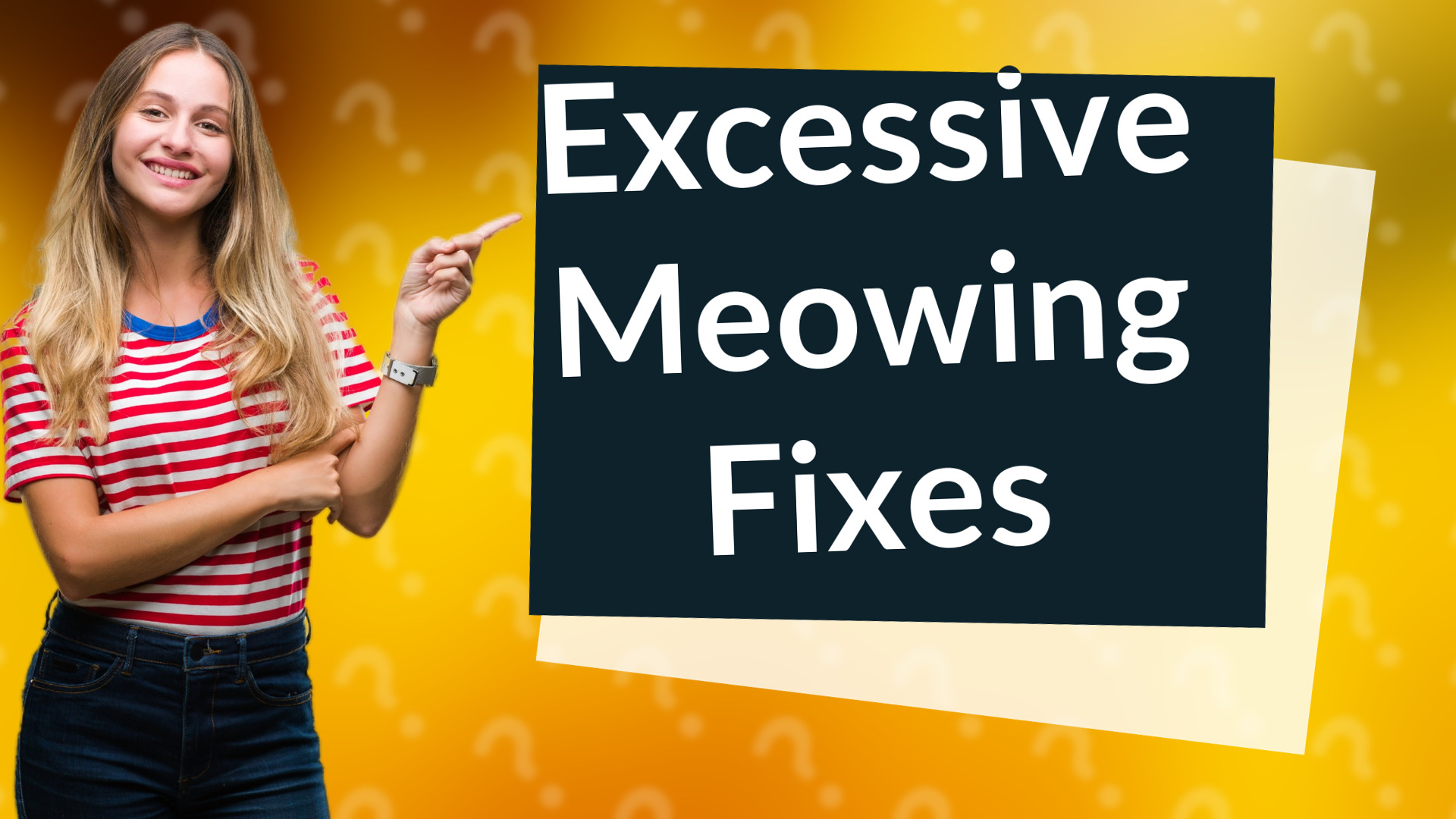 Excessive Meowing Fixes
