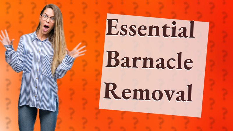 Essential Barnacle Removal